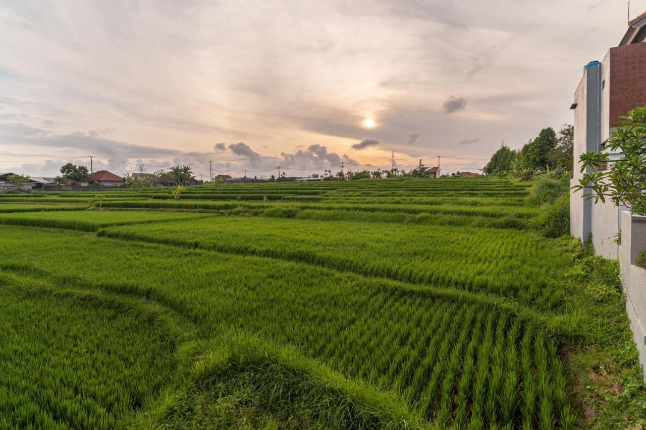 D'Macho Villas Ubud Екстер'єр фото