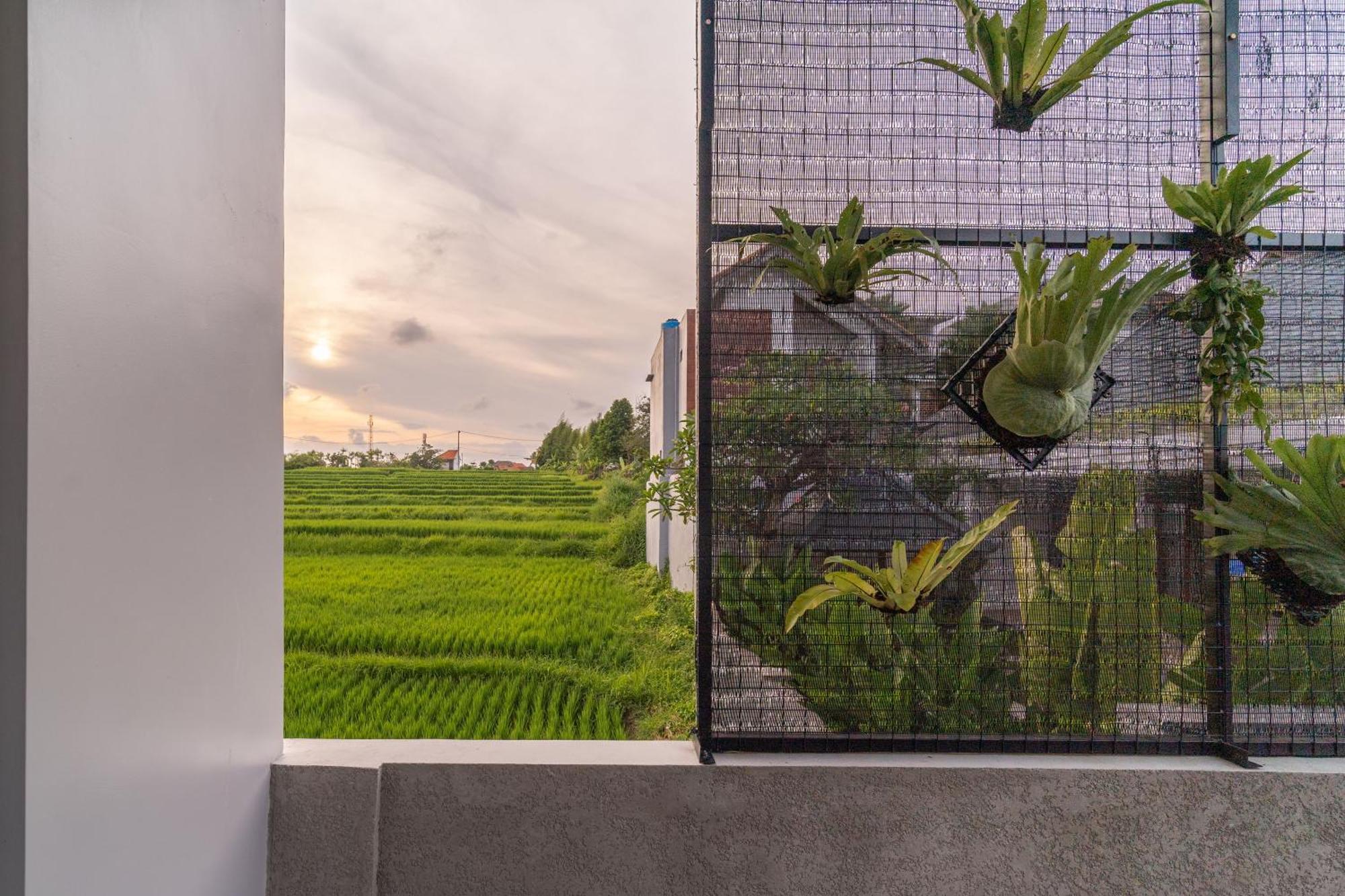 D'Macho Villas Ubud Екстер'єр фото